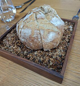 20240214_PXL115513894_Pixel7a-JEB